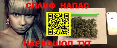 индика Аргун