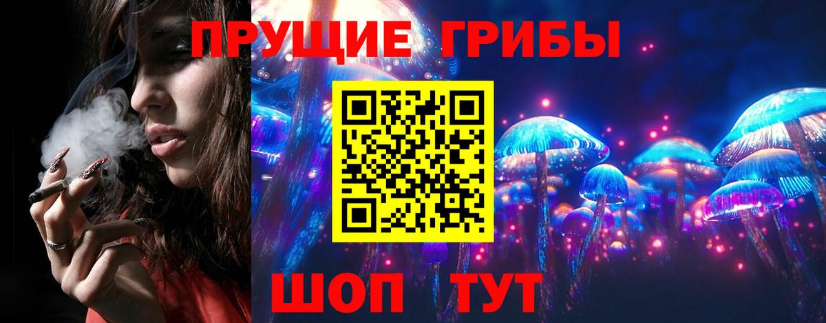 Псилоцибиновые грибы ЛСД  Вход с VPN  Бийск  Псилоцибиновые грибы ЛСД 